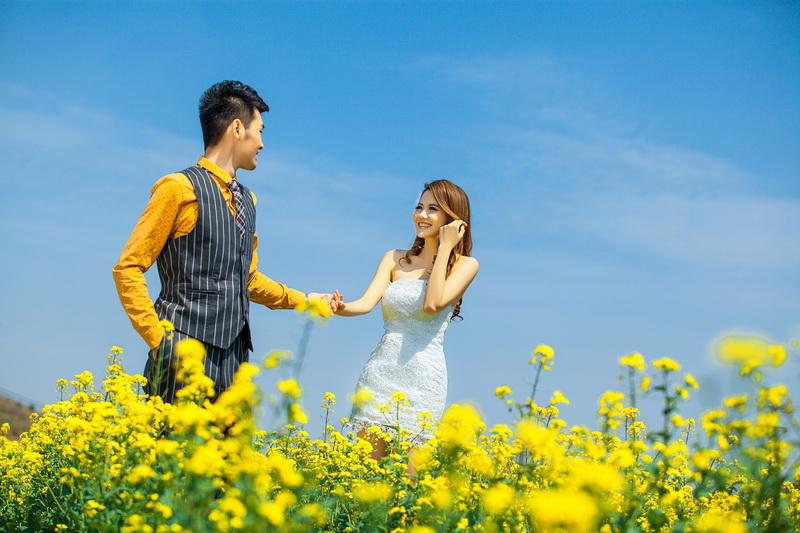 蚝油菜花_油菜花地里的婚纱照(3)