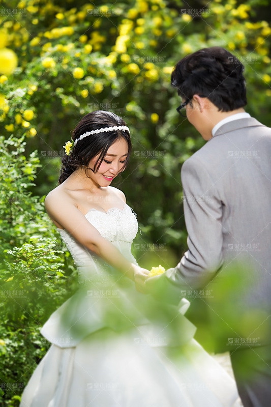 十大婚纱摄影排行_中山十大杰出婚纱摄影(3)